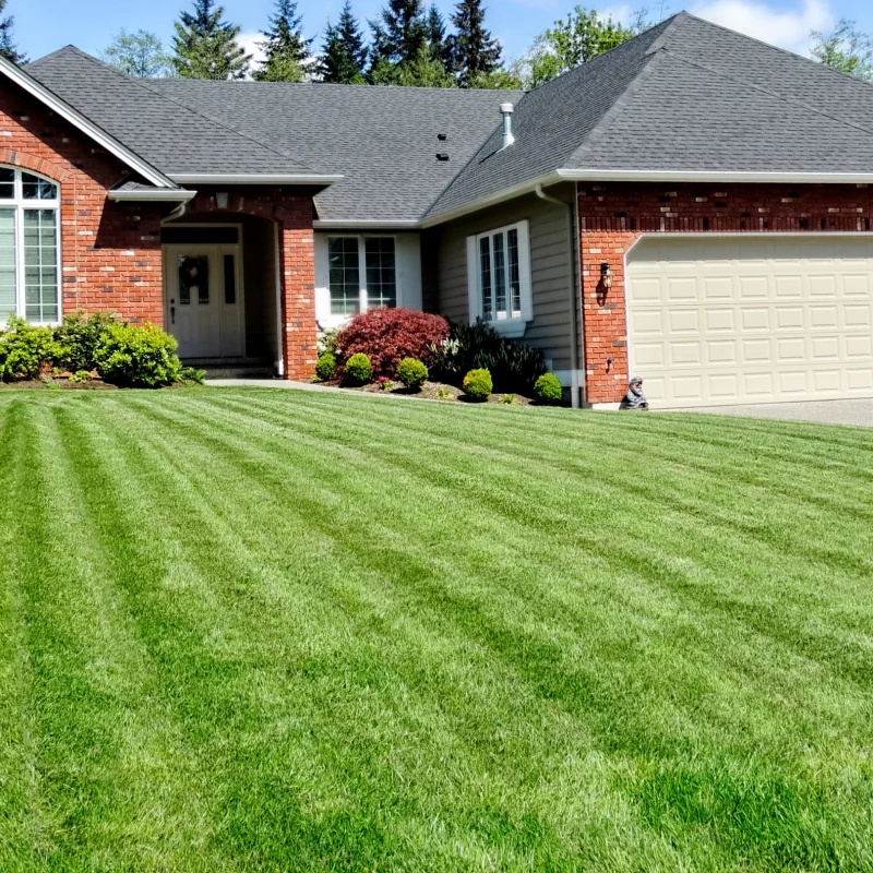 Home Landscape Design